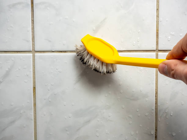 Certified Mold Removal in New Cumberland, WV